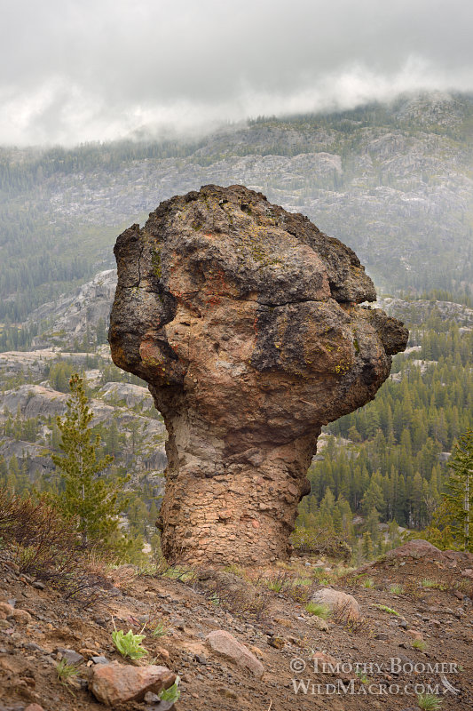 Unique volcanic rock formation near Carson Spur, Eldorado National Forest, El Dorado County, CA.  Stock Photo ID=SCE0148