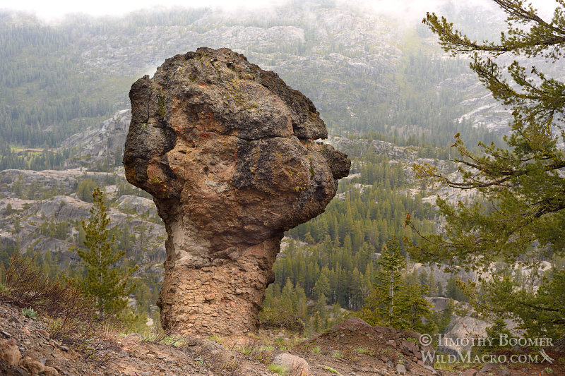 Unique volcanic rock formation near Carson Spur, Eldorado National Forest, El Dorado County, CA.  Stock Photo ID=SCE0149