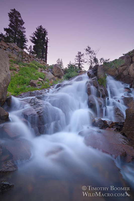 Round Top Creek cascades at dusk.  Carson Pass, Eldorado National Forest, Mokelumne Wilderness, Sierra Nevada, Alpine County, California, USA.  Stock Photo ID=SCE0214