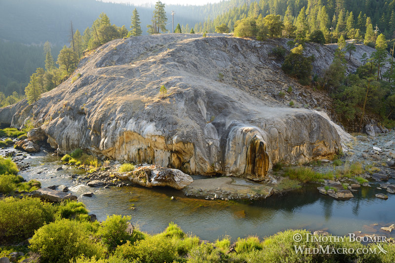 Ch'ichu'yam-bam (also known as Soda Rock, Dog Rock, Lady of the Creek, Chuchuya or Tsu'tuyem) is recorded under the National Register of Historic Places as Landmark Number N2213.  Plumas County, CA.  Stock Photo ID=SCE0116