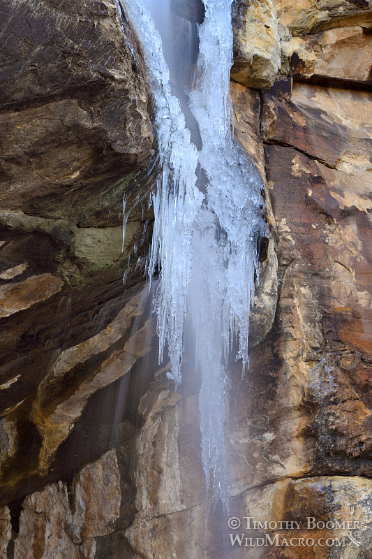 Lost Creek Waterfall, alternate perspective emphasizing the lower icicles.  Red Rock Canyon National Conservation Area, Las Vegas, Clark County, Mojave Desert, Nevada.  Stock Photo ID=SCE0197