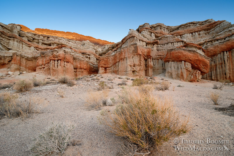 Red Rock Canyon State Park at dawn. Kern County, Mojave Desert, California.  Stock Photo ID=SCE0181