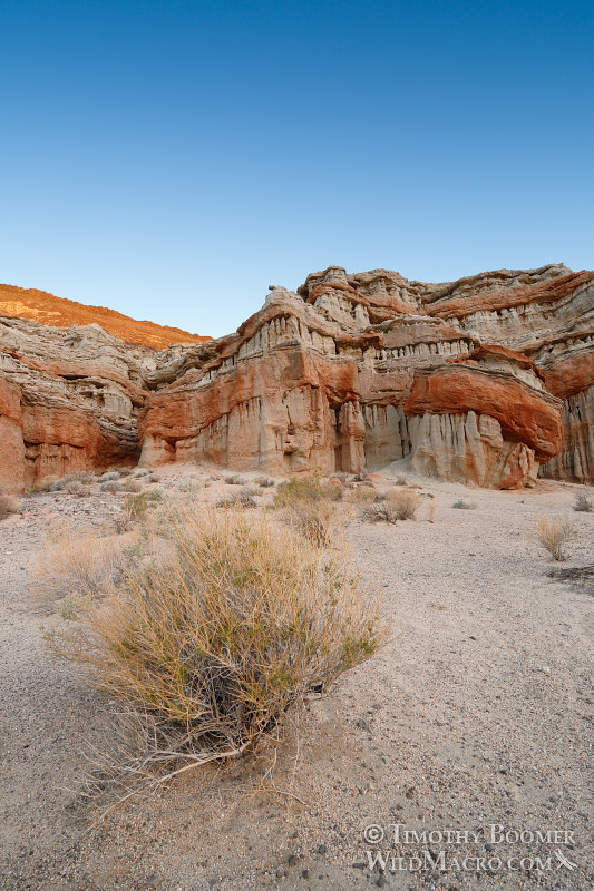 Red Rock Canyon State Park at dawn. Kern County, Mojave Desert, California.  Stock Photo ID=SCE0182