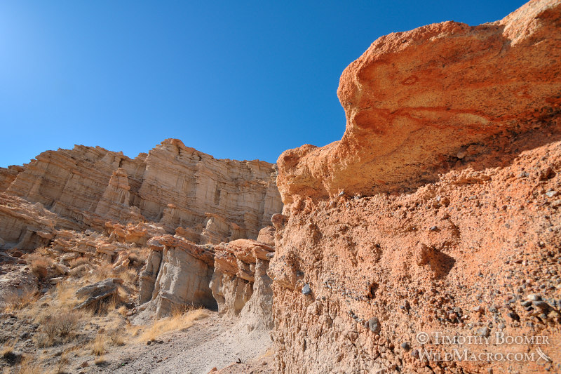 Red Rock Canyon State Park, magnificent rock formations with layers currently angled at 17 degrees. Kern County, Mojave Desert, California.  Stock Photo ID=SCE0185