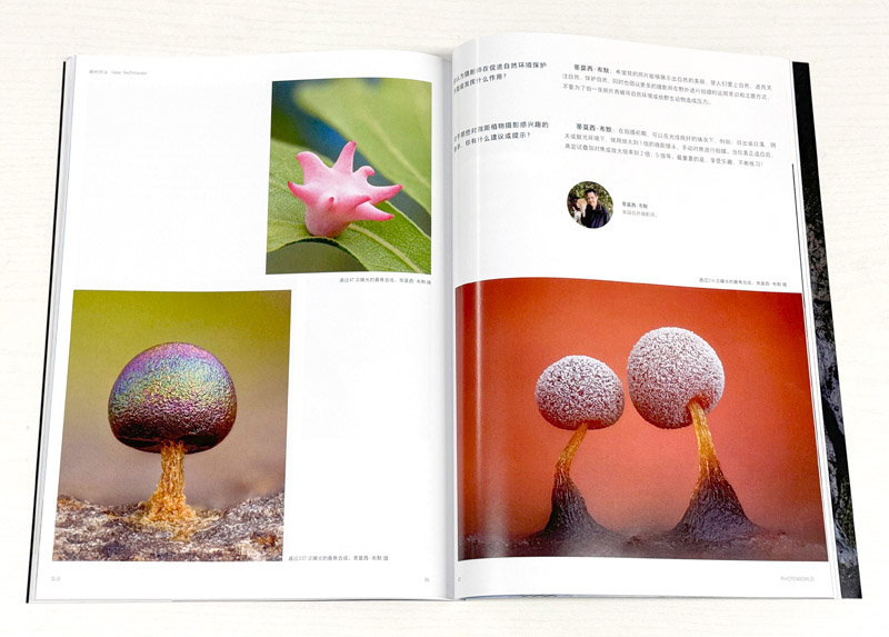 Prototrichia metallica slime mold, spined turban gall, and Didymium slime mold in Photo World Magazine.